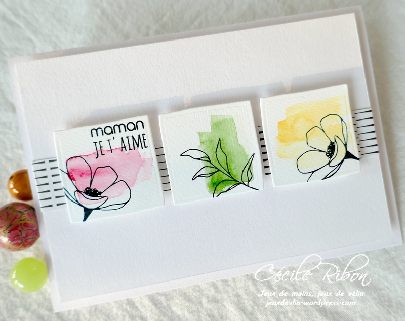 Carte FUSION63 - P1220480