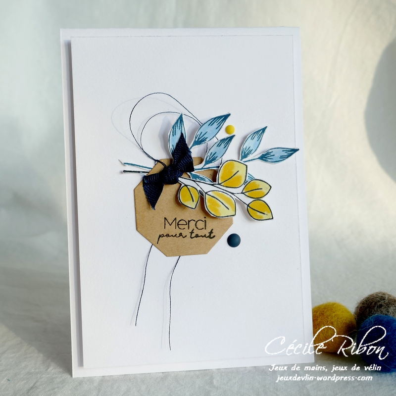 Carte JUGS581 - P1220556