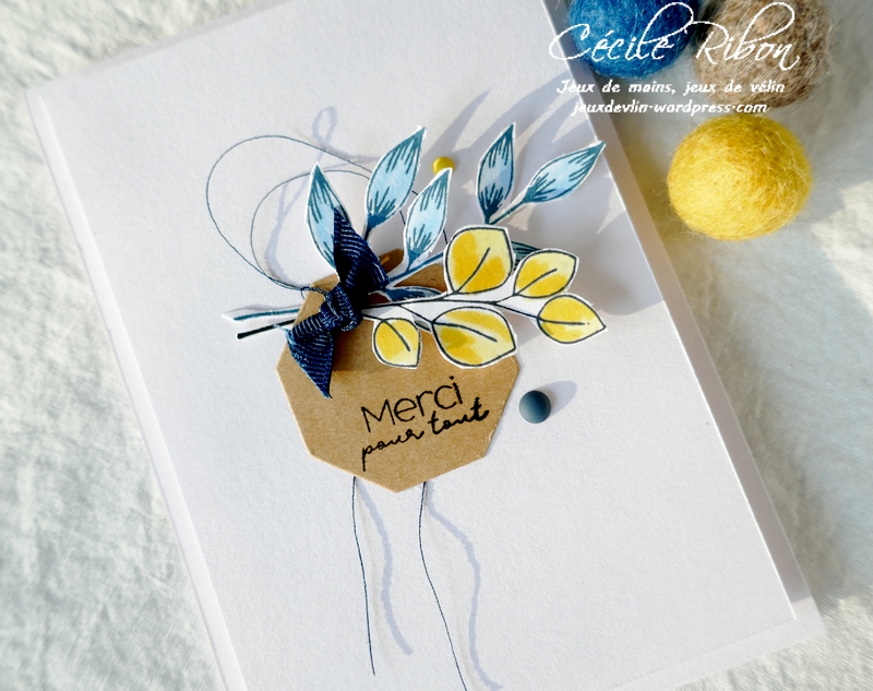 Carte JUGS581 - P1220563