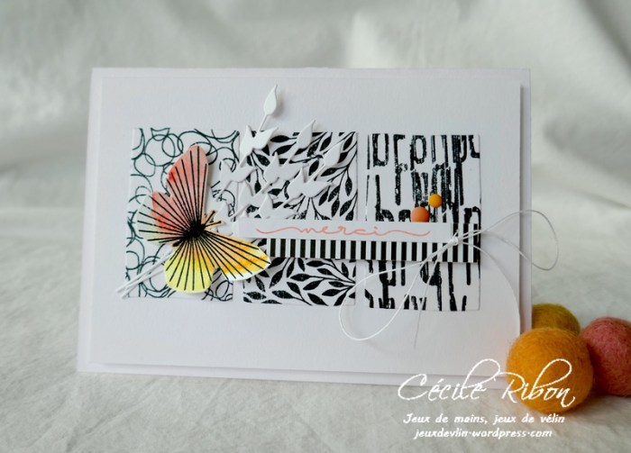 Carte LSAvrBPioche - P1220832