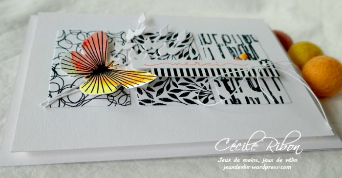 Carte LSAvrBPioche - P1220841