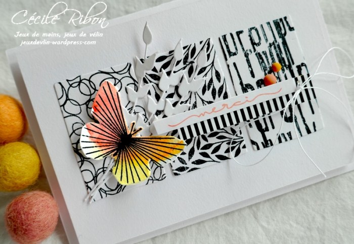 Carte LSAvrBPioche - P1220846