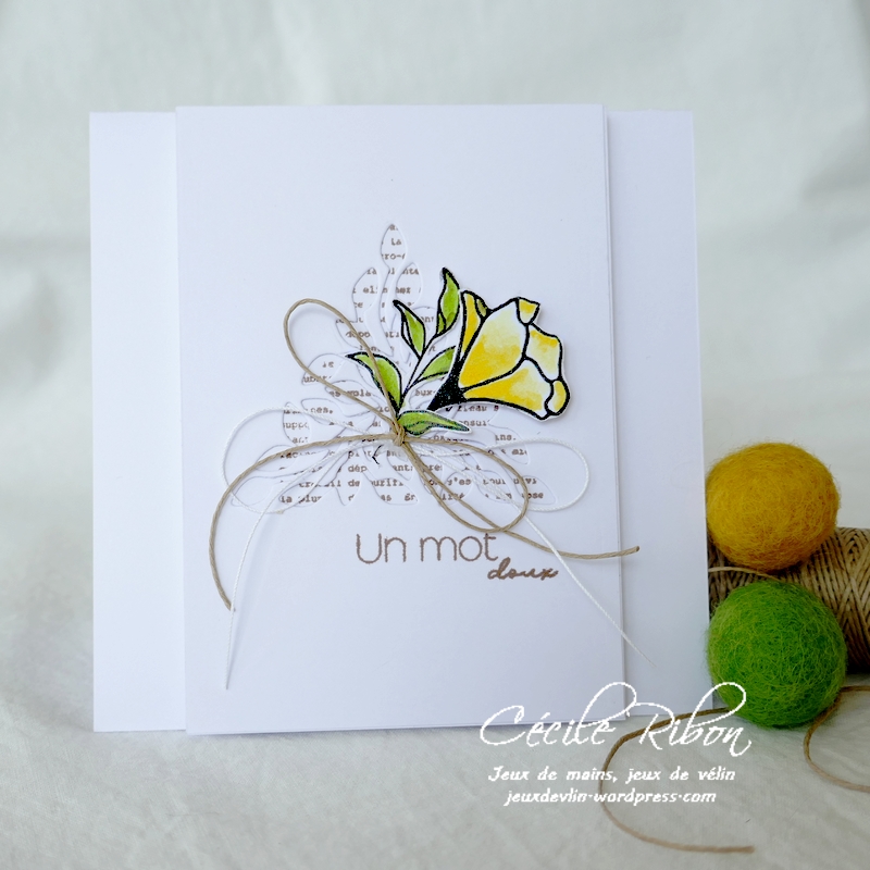 Carte LSAvrCombo - P1220012