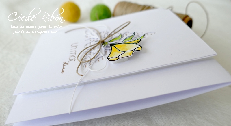 Carte LSAvrCombo - P1220024