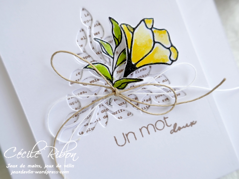 Carte LSAvrCombo - P1220031