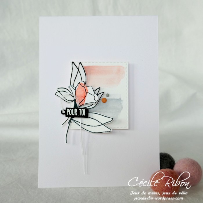 Carte LSAvrC&S - P1220776