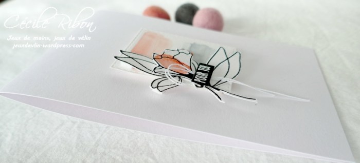 Carte LSAvrC&S - P1220782