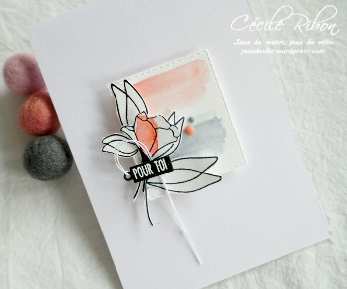 Carte LSAvrC&S - P1220791