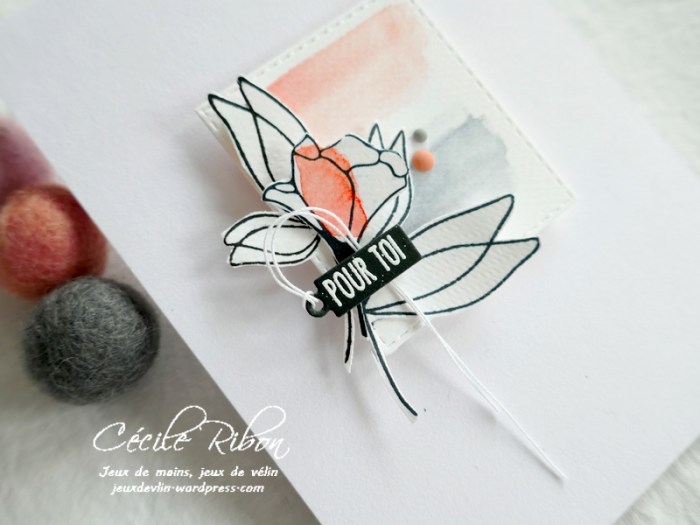 Carte LSAvrC&S - P1220792