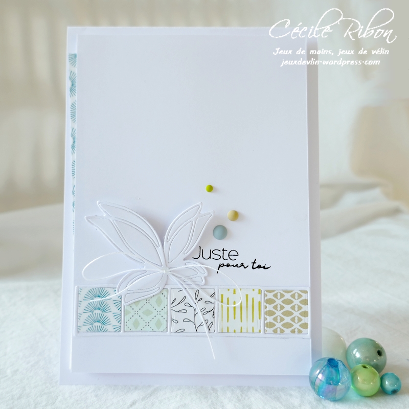 Carte LSAvrInspi - P1220315