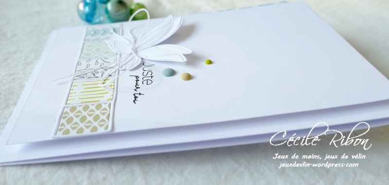 Carte LSAvrInspi - P1220324