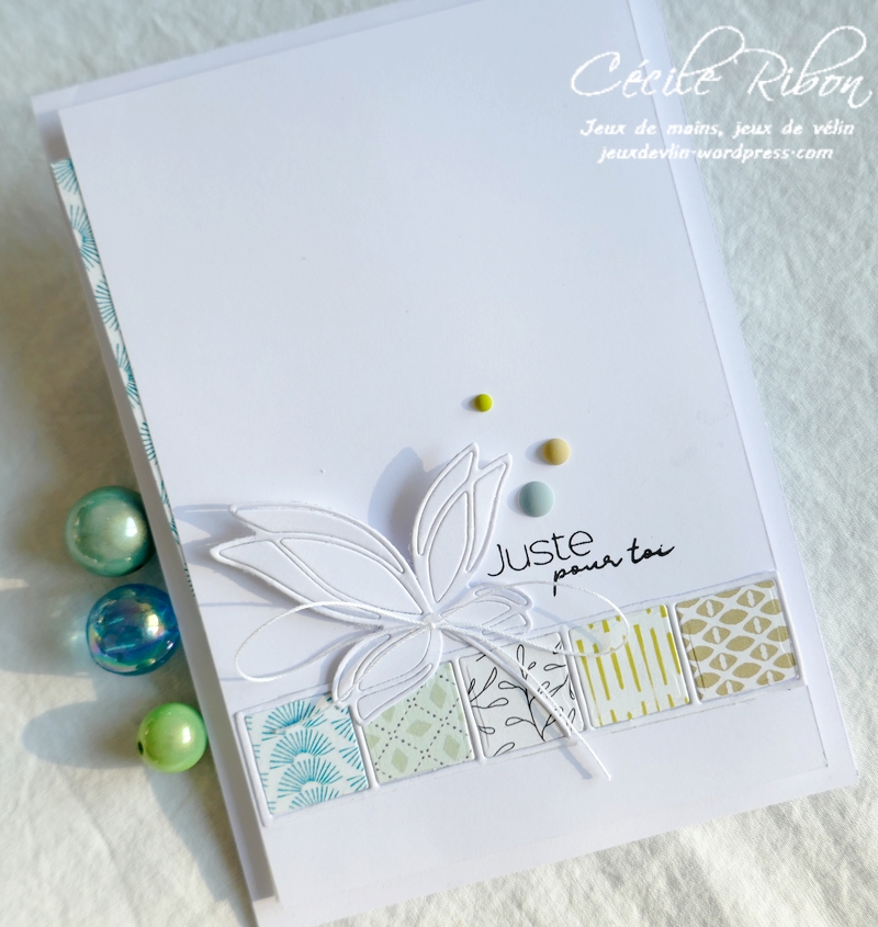 Carte LSAvrInspi - P1220335