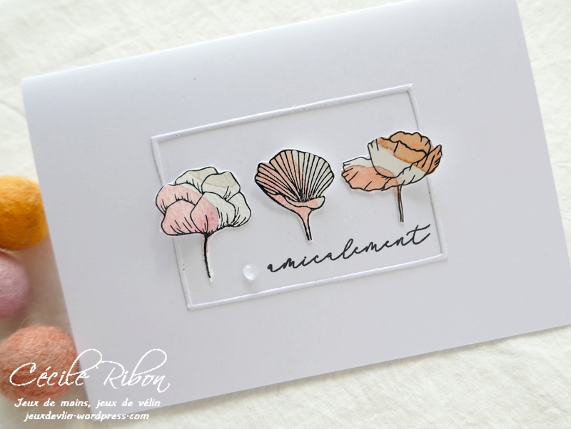 Carte Amitié01 - P1230861