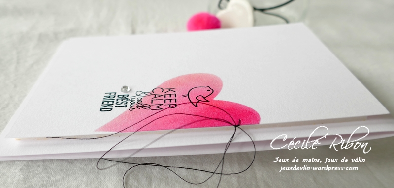 Carte CASology389 - P1220922