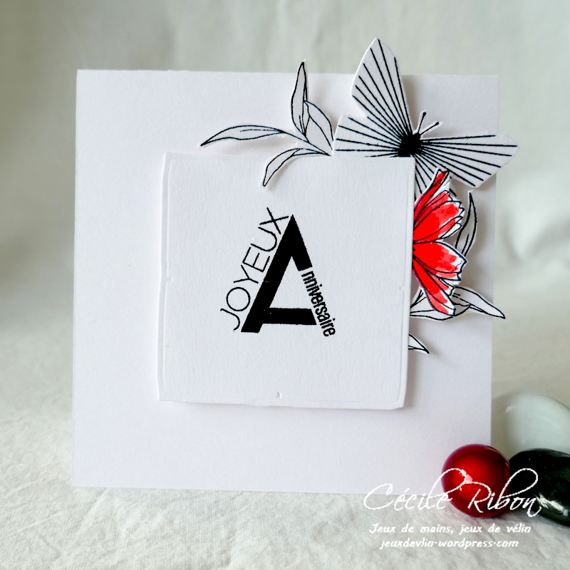 Carte CASology390 - P1230029