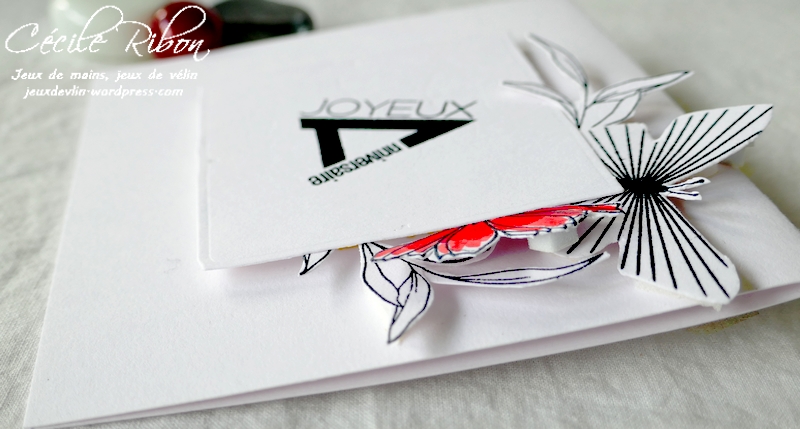 Carte CASology390 - P1230036