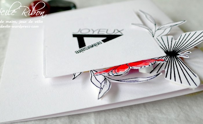 CASology 390 – Outside