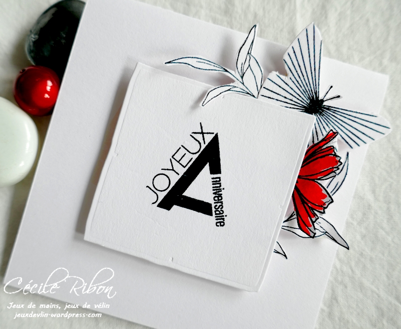 Carte CASology390 - P1230045