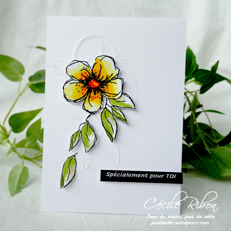 Carte CBBB54 - P1230594