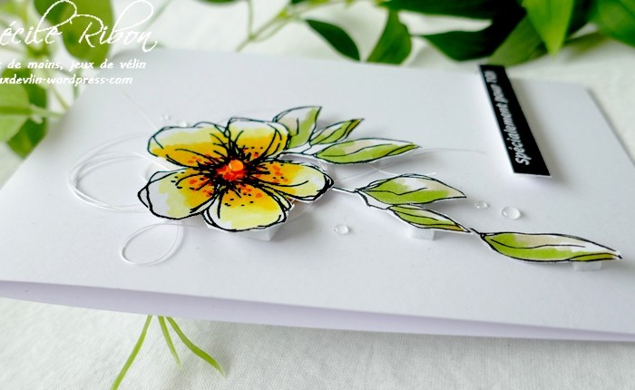 Le Créablablablog #54 : Le sketch de Mu42800