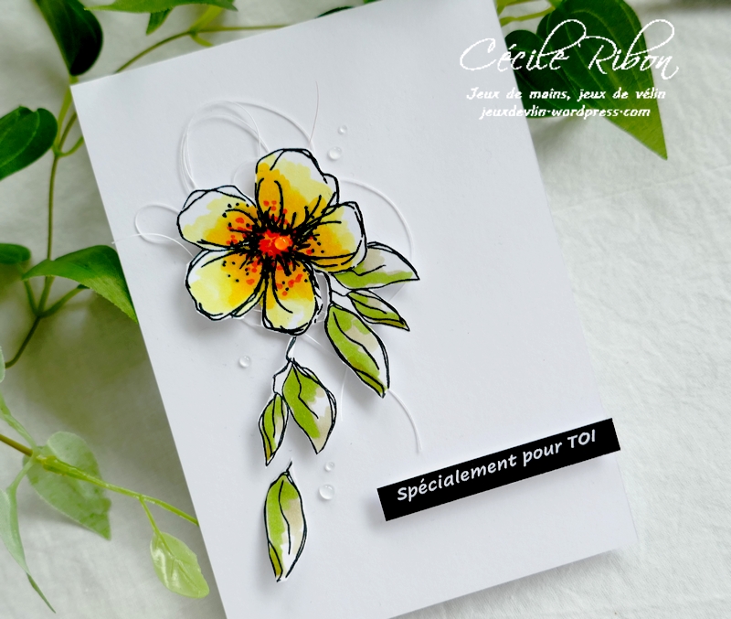 Carte CBBB54 - P1230618