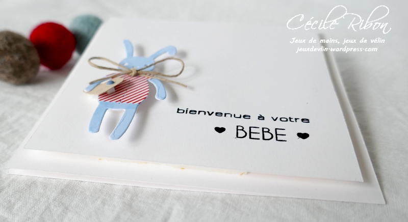 Carte CTD641 - P1230098