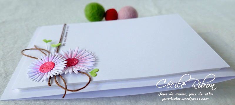 Carte CTD642 - P1230234