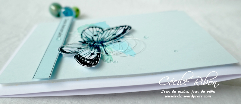 Carte CTD643 - P1230511