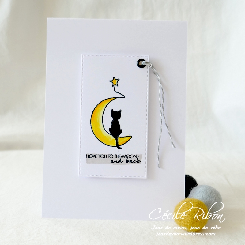 Carte CTD644 - P1230981