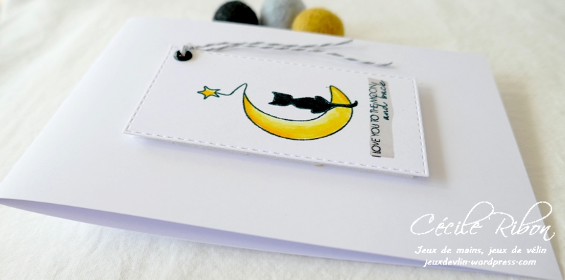 Carte CTD644 - P1230983