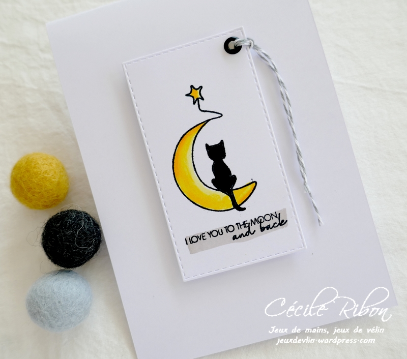 Carte CTD644 - P1230998