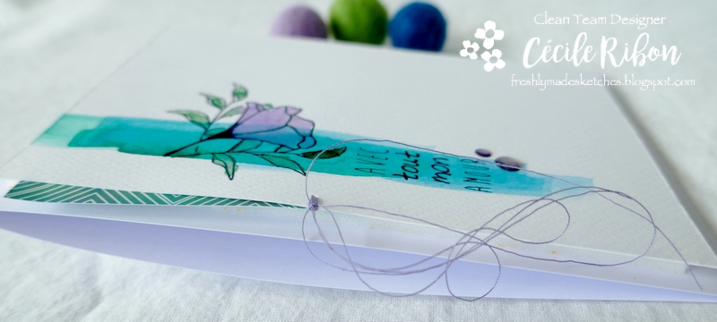 Carte FMS485 - P1230155