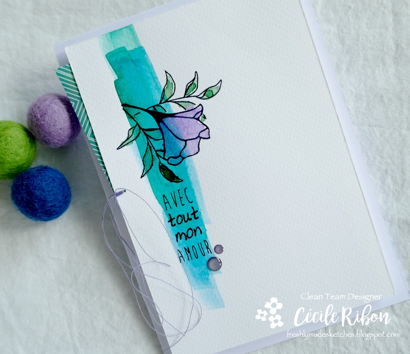 Carte FMS485 - P1230166