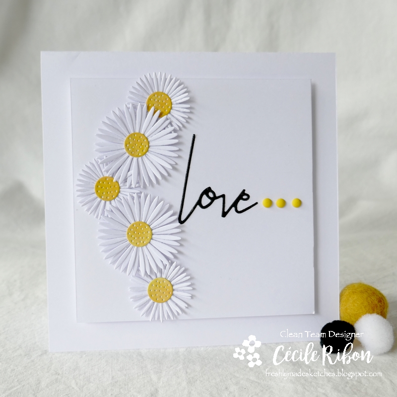 Carte FMS486 - P1230323