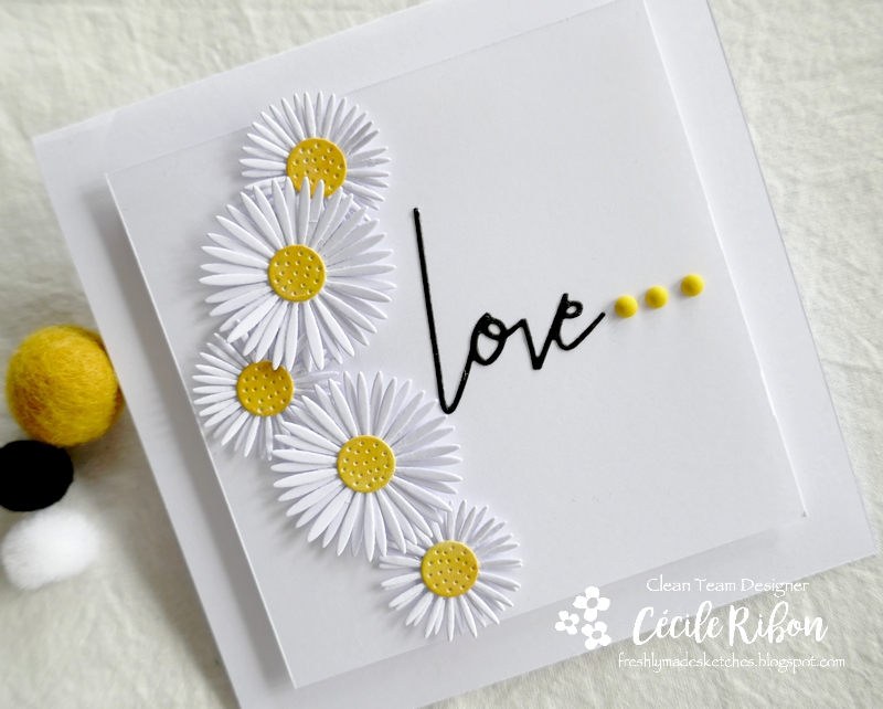 Carte FMS486 - P1230335