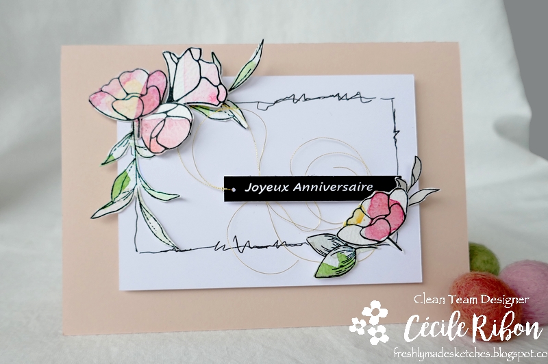 Carte FMS487 - P1230781