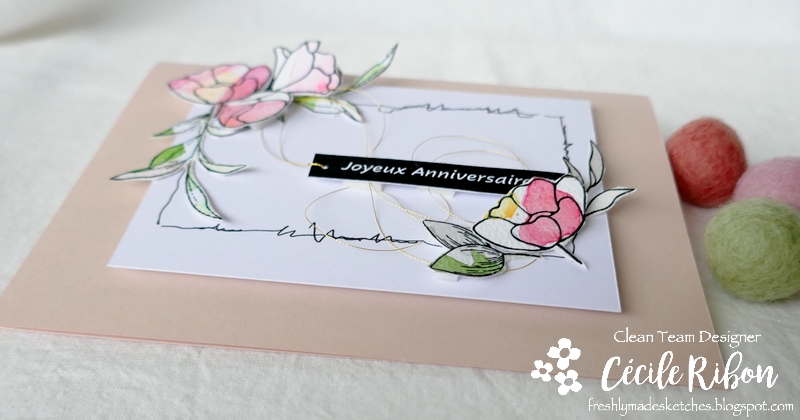 Carte FMS487 - P1230782