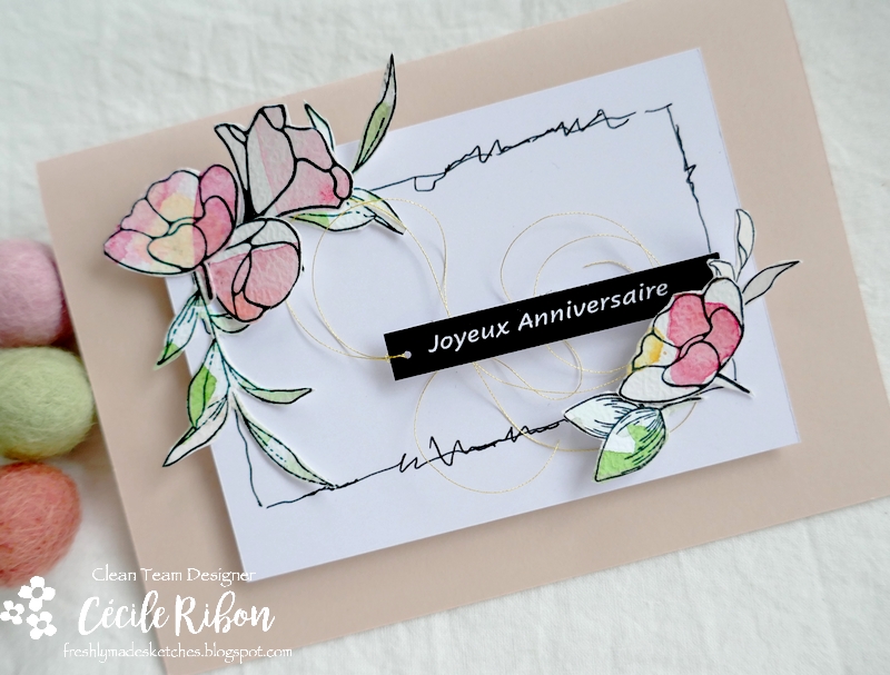 Carte FMS487 - P1230787