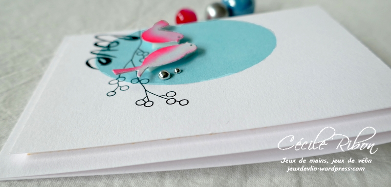 Carte FUSION64 - P1230004