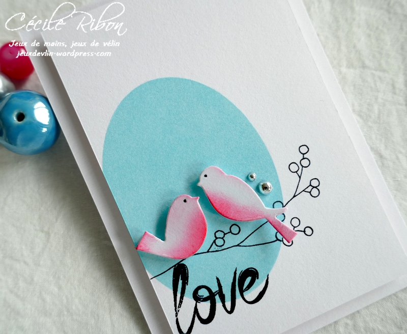 Carte FUSION64 - P1230018