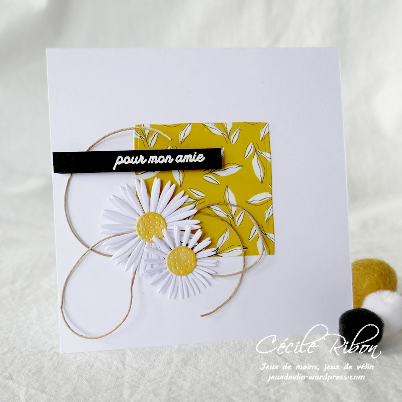 Carte JUGS585 - P1230339