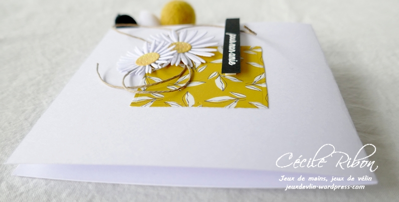 Carte JUGS585 - P1230359