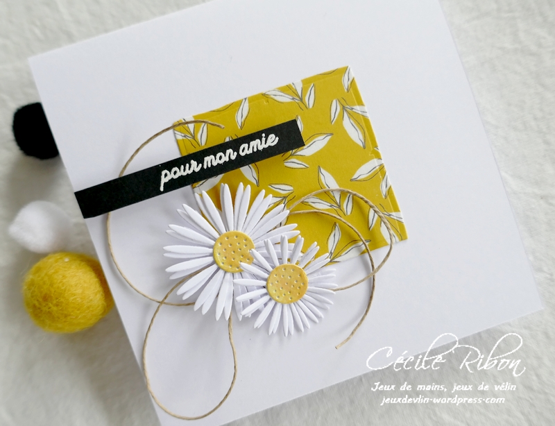 Carte JUGS585 - P1230366