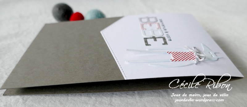 Carte Naissance01 - P1230300