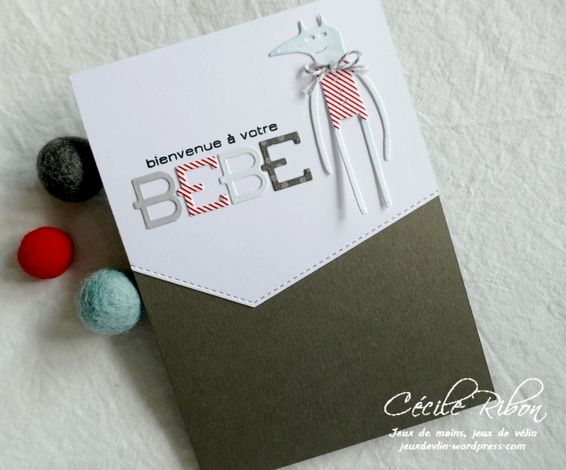 Carte Naissance01 - P1230312