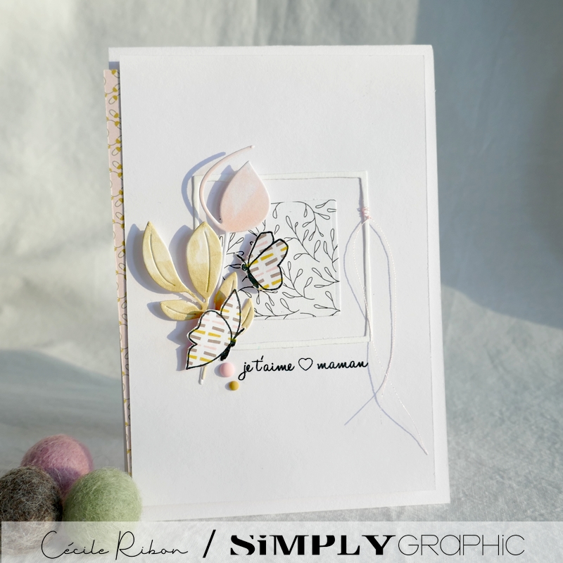 Carte SG01 - P1220572