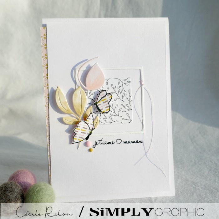 Carte SG01 - P1220572