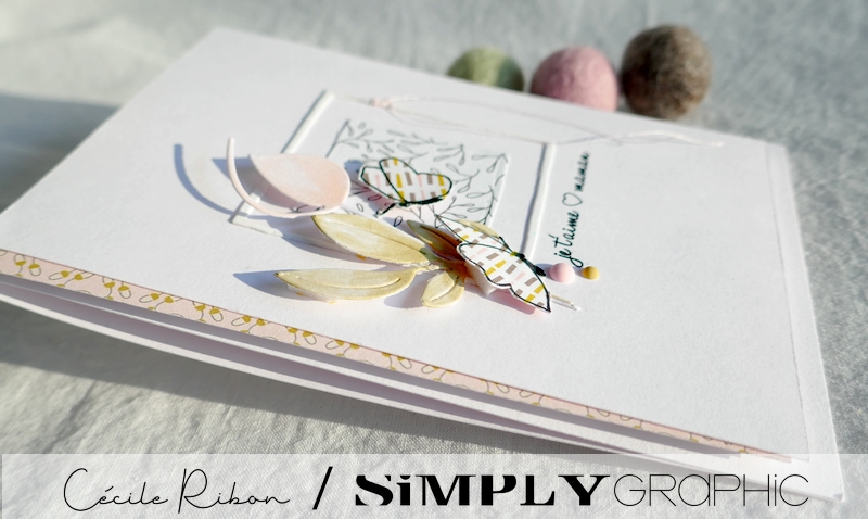 Carte SG01 - P1220578