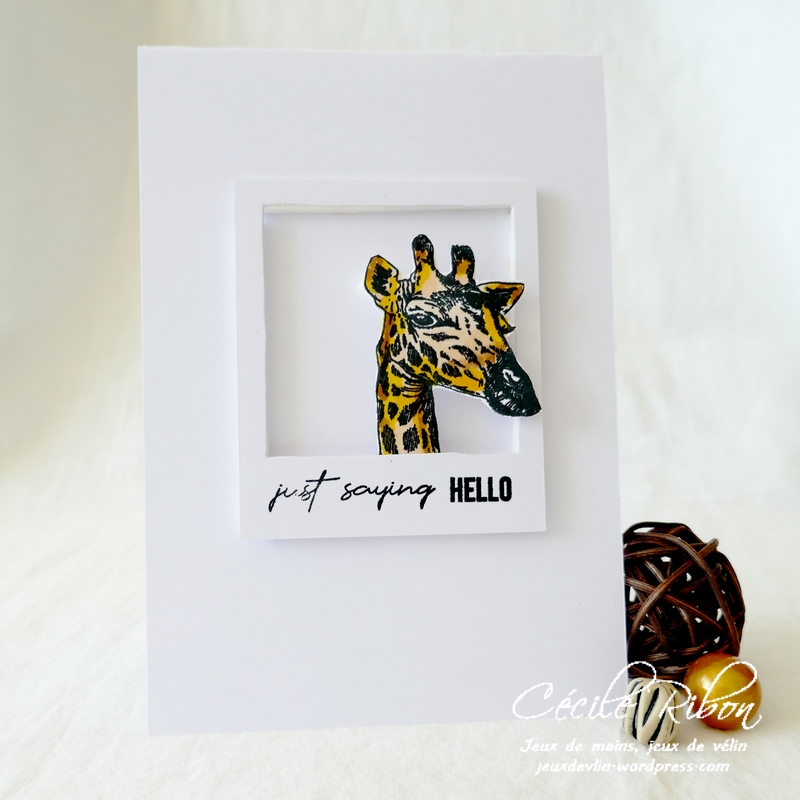 Carte CASology391 - P1240107