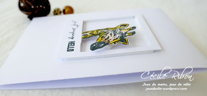 carte CASology391 - P1240113